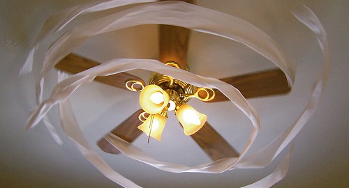 No More Dusty Ceiling Fans or Light Obstruction